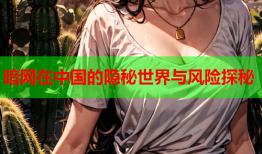 暗网在中国的隐秘世界与风险探秘