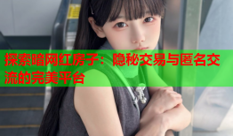 探索暗网红房子：隐秘交易与匿名交流的完美平台