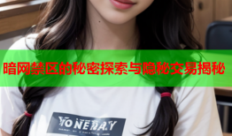 暗网禁区的秘密探索与隐秘交易揭秘