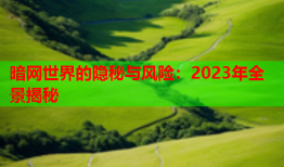 暗网世界的隐秘与风险：2023年全景揭秘