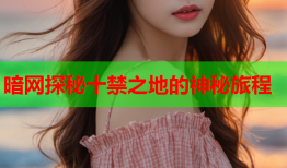 暗网探秘十禁之地的神秘旅程
