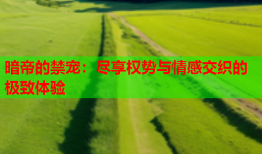 暗帝的禁宠：尽享权势与情感交织的极致体验