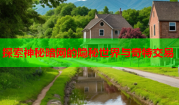 探索神秘暗网的隐秘世界与奇特交易