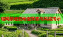 暗网禁地的秘密探索与风险揭示