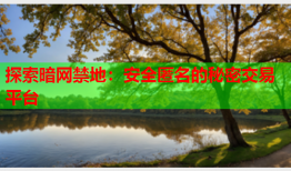 探索暗网禁地：安全匿名的秘密交易平台