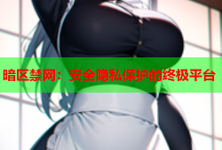 暗区禁网：安全隐私保护的终极平台