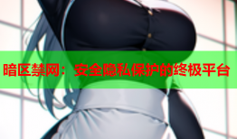 暗区禁网：安全隐私保护的终极平台