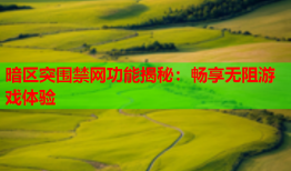 暗区突围禁网功能揭秘：畅享无阻游戏体验