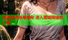 暗网禁地账号揭秘 进入黑暗网络的门票