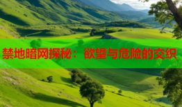 禁地暗网探秘：欲望与危险的交织