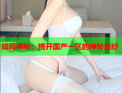 暗网探秘：揭开国产一区的神秘面纱