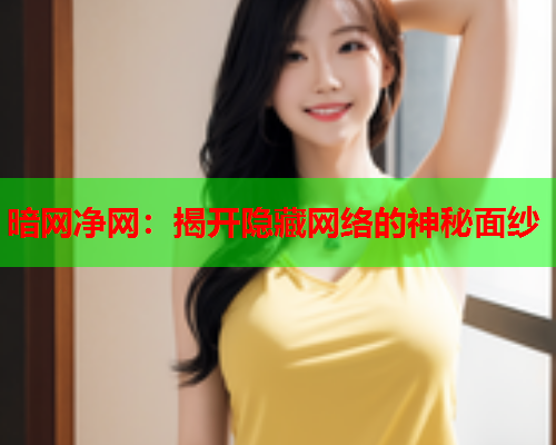 暗网净网：揭开隐藏网络的神秘面纱
