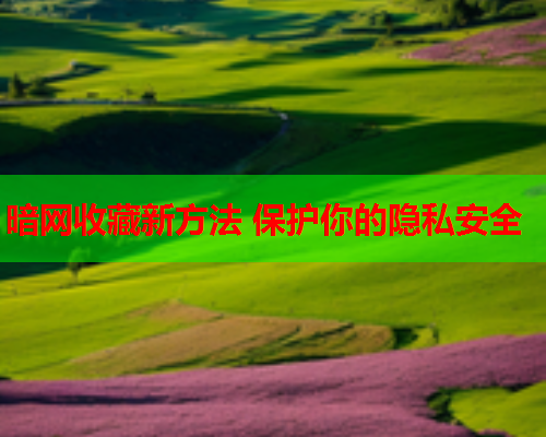 暗网收藏新方法 保护你的隐私安全