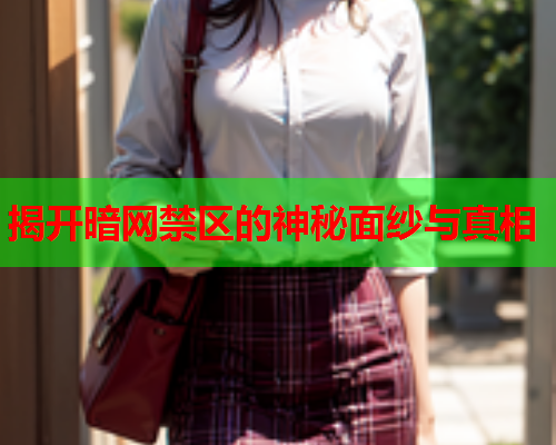 揭开暗网禁区的神秘面纱与真相