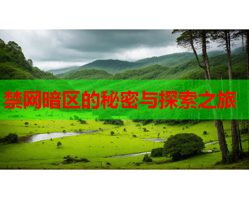 禁网暗区的秘密与探索之旅