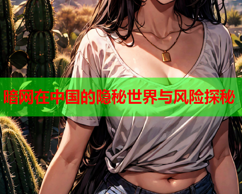暗网在中国的隐秘世界与风险探秘