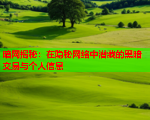 暗网揭秘：在隐秘网络中潜藏的黑暗交易与个人信息