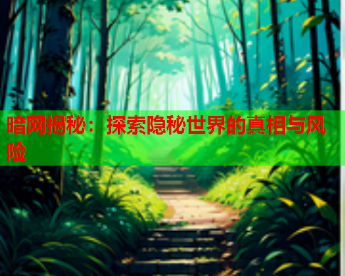暗网揭秘：探索隐秘世界的真相与风险