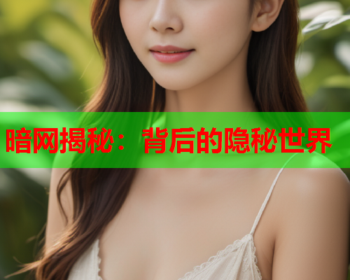 暗网揭秘：背后的隐秘世界