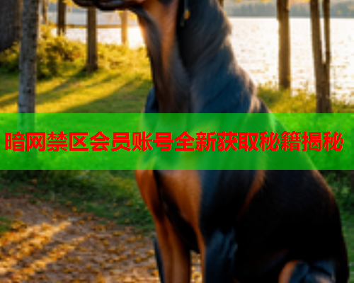 暗网禁区会员账号全新获取秘籍揭秘