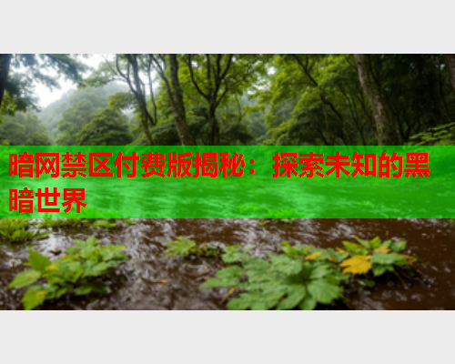 暗网禁区付费版揭秘：探索未知的黑暗世界