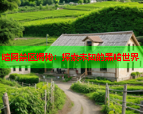 暗网禁区揭秘：探索未知的黑暗世界
