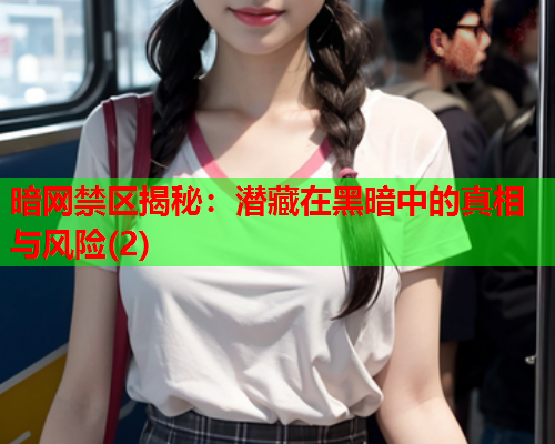暗网禁区揭秘：潜藏在黑暗中的真相与风险(2)