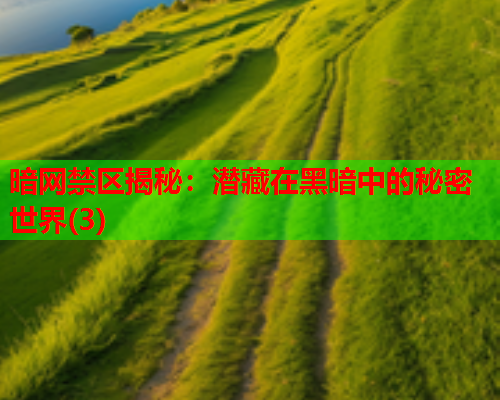 暗网禁区揭秘：潜藏在黑暗中的秘密世界(3)