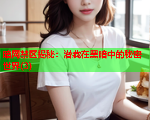 暗网禁区揭秘：潜藏在黑暗中的秘密世界(3)