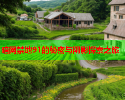 暗网禁地91的秘密与阴影探索之旅