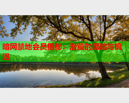 暗网禁地会员揭秘：潜藏的黑暗与机遇