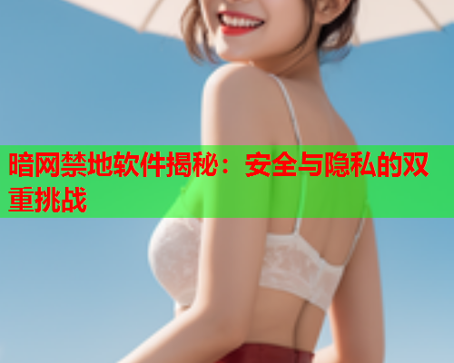 暗网禁地软件揭秘：安全与隐私的双重挑战