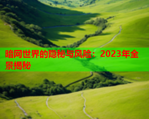 暗网世界的隐秘与风险：2023年全景揭秘