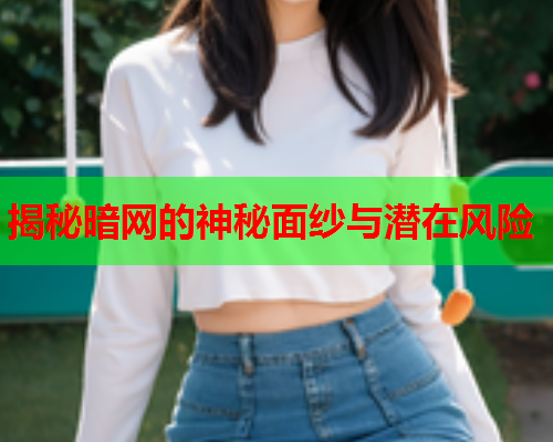 揭秘暗网的神秘面纱与潜在风险