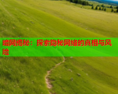 暗网揭秘：探索隐秘网络的真相与风险