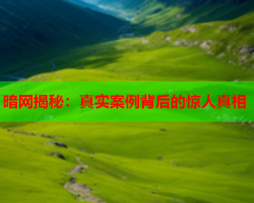 暗网揭秘：真实案例背后的惊人真相