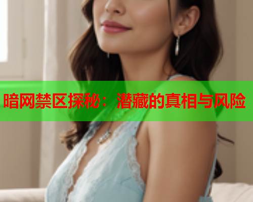 暗网禁区探秘：潜藏的真相与风险