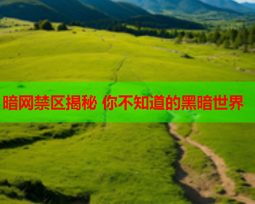 暗网禁区揭秘 你不知道的黑暗世界