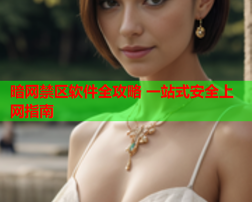 暗网禁区软件全攻略 一站式安全上网指南
