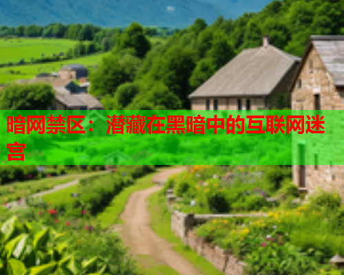 暗网禁区：潜藏在黑暗中的互联网迷宫
