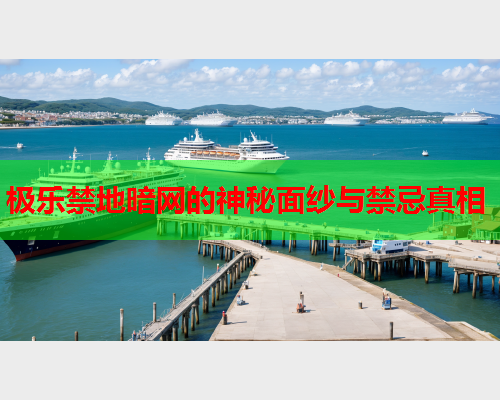 极乐禁地暗网的神秘面纱与禁忌真相