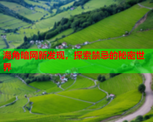 海角暗网新发现，探索禁忌的秘密世界