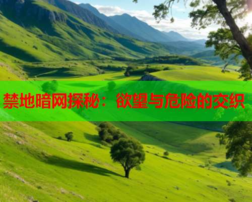 禁地暗网探秘：欲望与危险的交织
