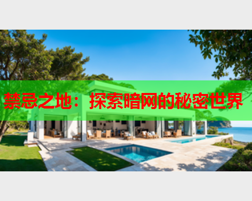 禁忌之地：探索暗网的秘密世界
