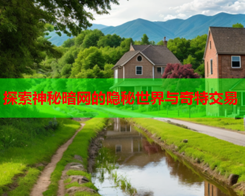 探索神秘暗网的隐秘世界与奇特交易