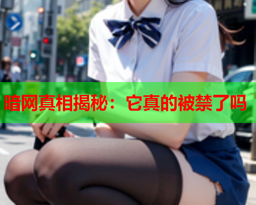 暗网真相揭秘：它真的被禁了吗