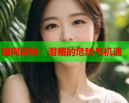 暗网探秘：潜藏的危险与机遇