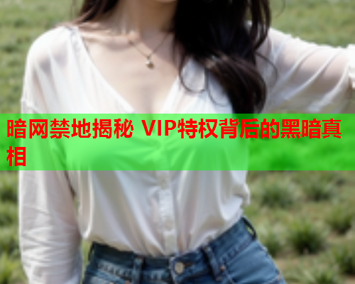 暗网禁地揭秘 VIP特权背后的黑暗真相