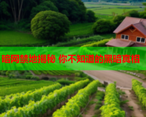 暗网禁地揭秘 你不知道的黑暗真相
