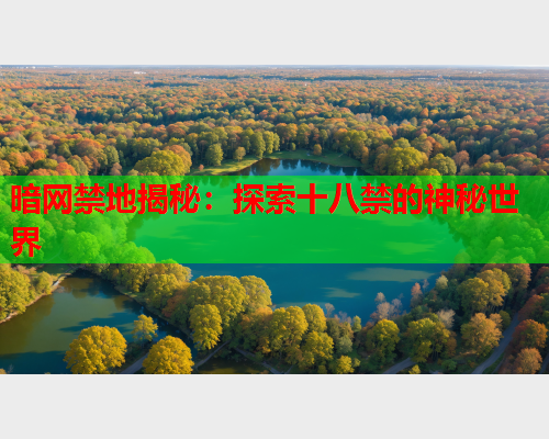 暗网禁地揭秘：探索十八禁的神秘世界